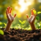 Handen groeien uit vruchtbare grond als planten, omringd door groen gebladerte en gouden zonlicht, symboliseert groei.