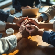 Diverse handen werken samen rond houten vergadertafel met laptops en koffie in natuurlijk licht